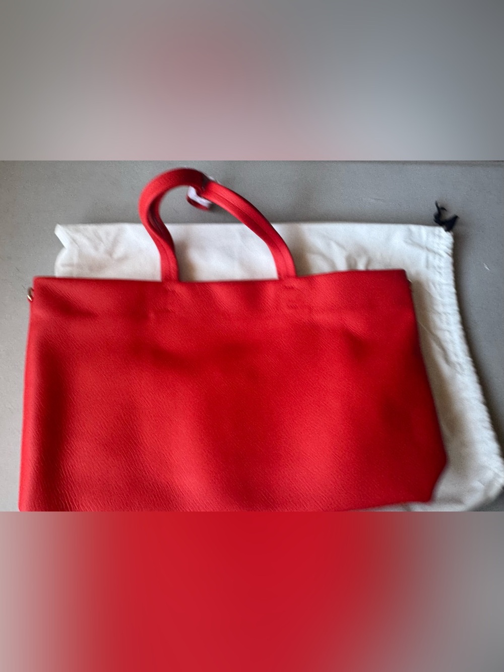 NWT Cuyana Small Easy Zipper Tote in Chili - Picture 8 of 12